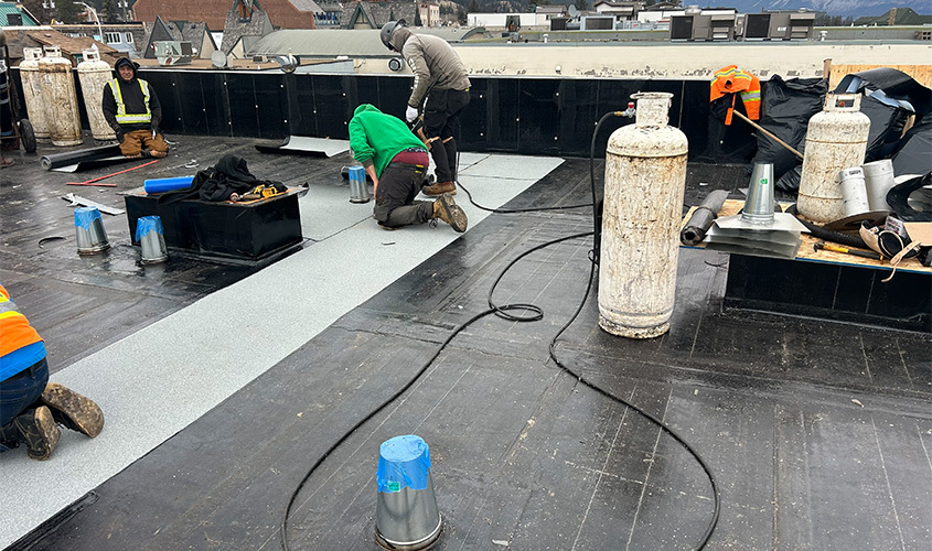 Why Preventive Roof Maintenance Is a Smart Investment for Edmonton Businesses